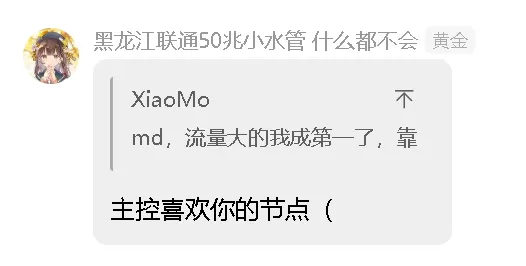 [回复-XiaoMo_md，流量大的我成第一了，靠]_主控喜欢你的节点（.webp